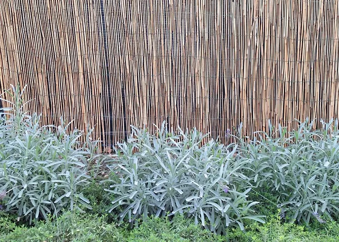 Il Giardino Segreto